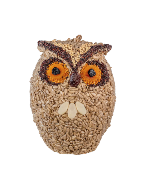 Whoo-lio the Birdseed Owl