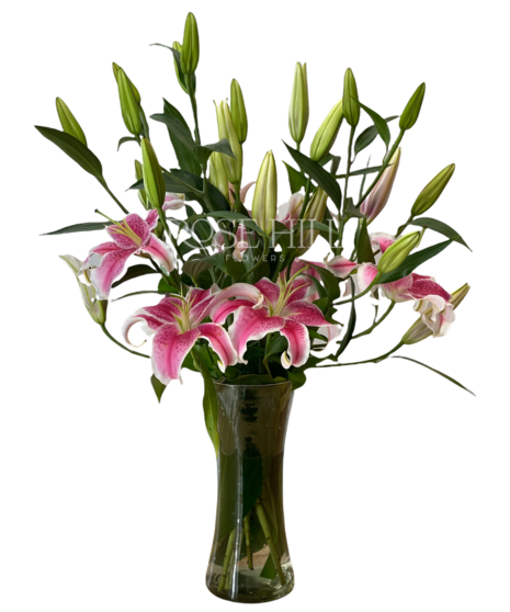 Vase arrangement of Stargazer Lilies