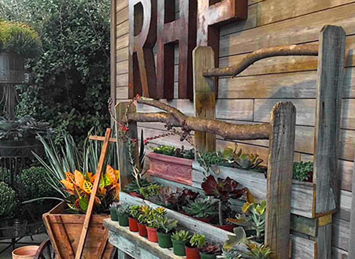 Outdoor flowers and plants on display in our wooden planters